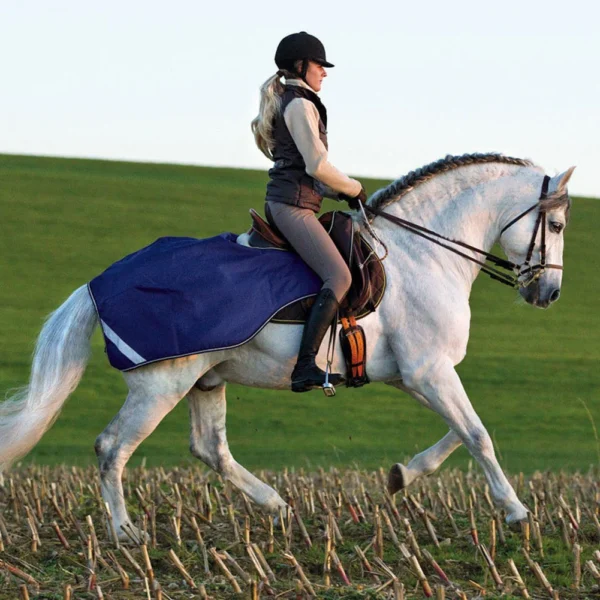 Saddlery Goods Horse Waterproof Exercise Sheet - Image 3